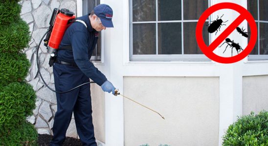 Akçakale Kene İlaçlama böcek ilaçlama ve haşere kontrolü — ilaclama-tr.com